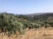 Chromonastiri Kreta, Chromonastiri: Großes Grundstück zu verkaufen Grundstück kaufen